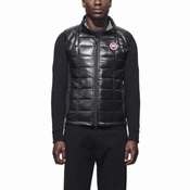 moncler bolt